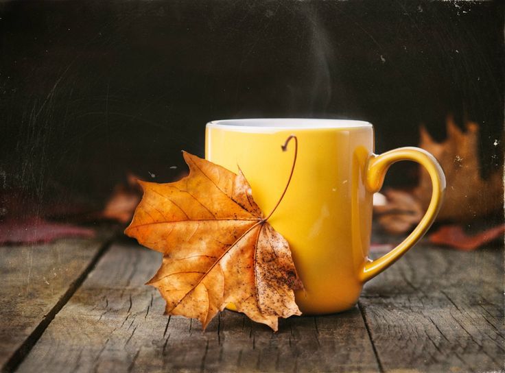 Доброе утро. А вы знали, что сегодня