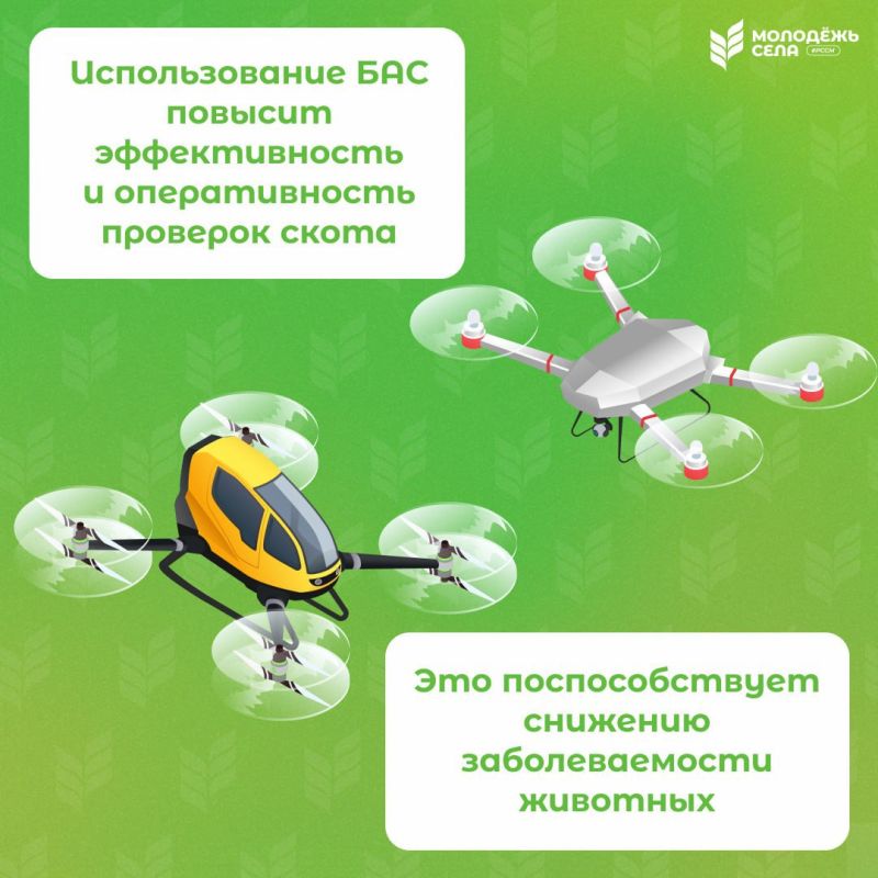 ����������� �� ����� �� �����