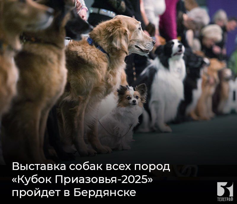 �������� ����� ���� ����� ������ ���������-2025� ������� � ���������