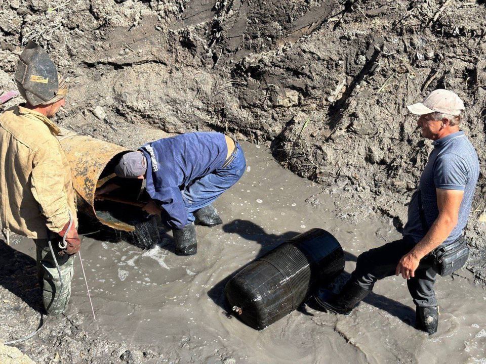 ������ ���������� ��������� � ������� 4 ���� ��������� ��� ����?