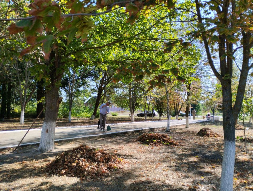 ��������� � ���� ���������