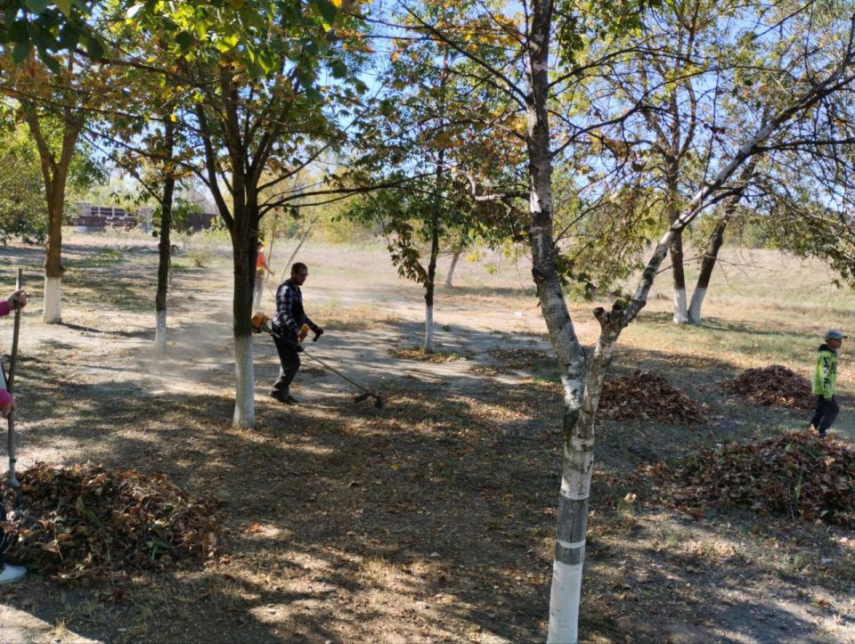 ��������� � ���� ���������