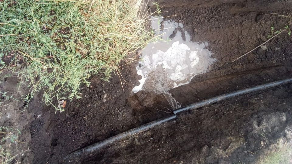 � ���� ��������� ���������� �������� �������