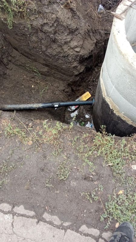 � ���� ��������� ���������� �������� �������