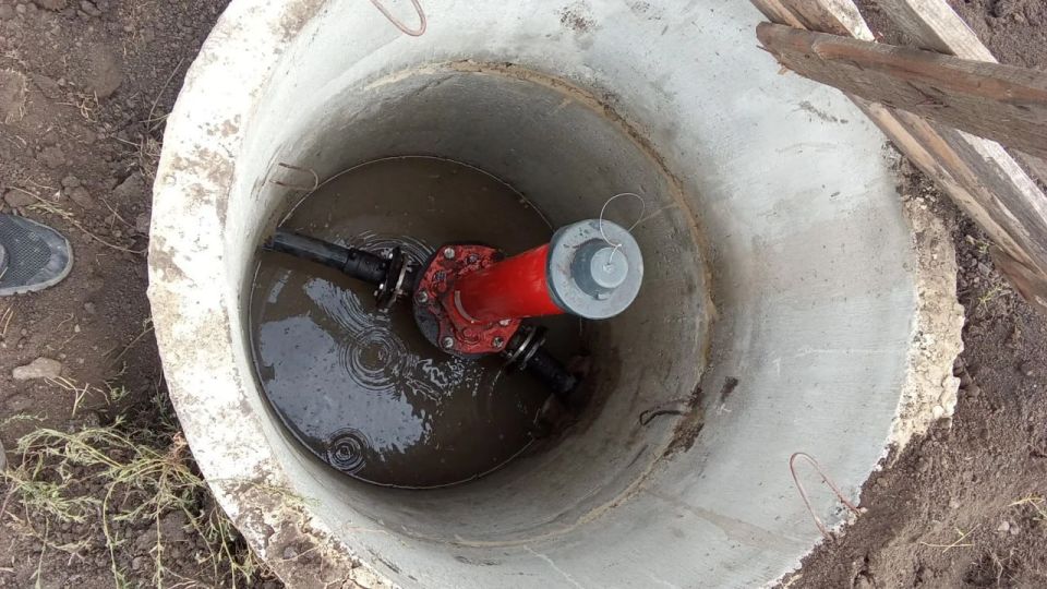 � ���� ��������� ���������� �������� �������