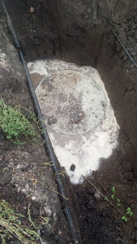 � ���� ��������� ���������� �������� �������