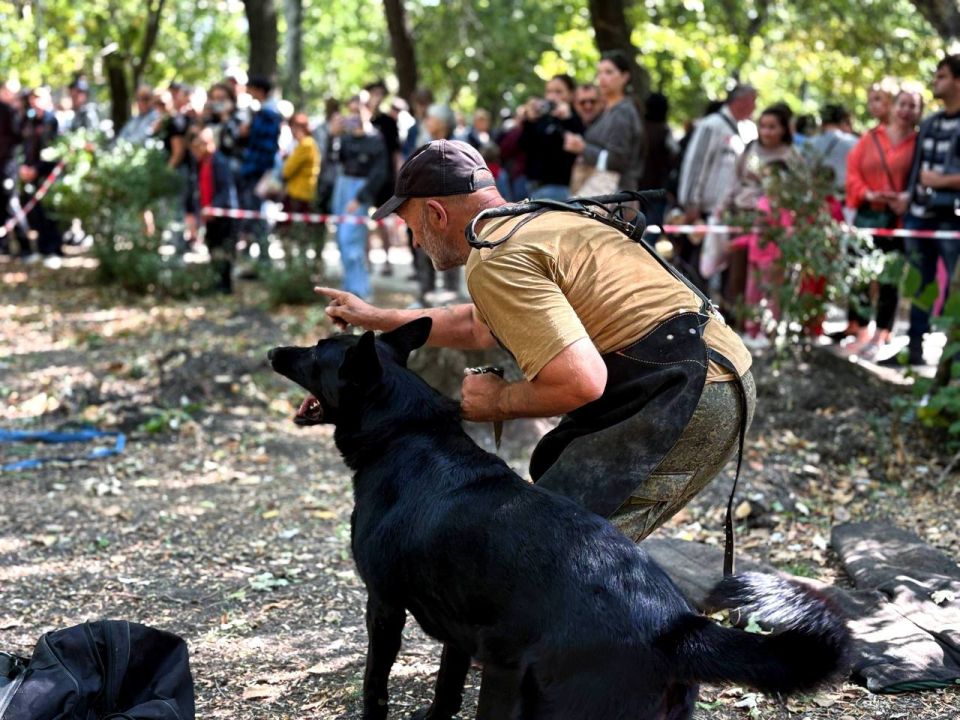 123� ��������� ���������� �������� ����� ���� ����� ������ ���������-2025�