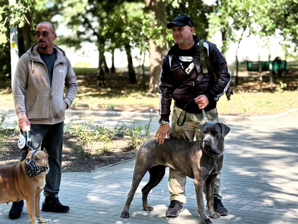 123� ��������� ���������� �������� ����� ���� ����� ������ ���������-2025�