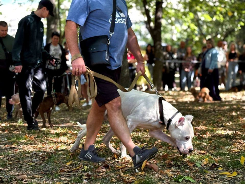 123� ��������� ���������� �������� ����� ���� ����� ������ ���������-2025�