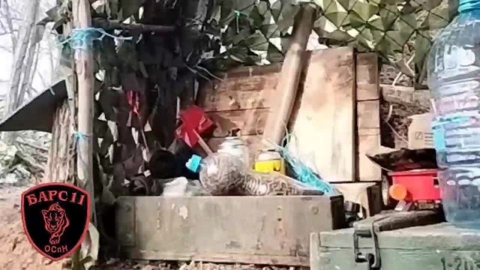 ���� �������: ��� �����, ��������� � ����� ������ ������ ��������, �������� ����� � ������� ������ ������ �����-11�, ����������� �� ����������� ������