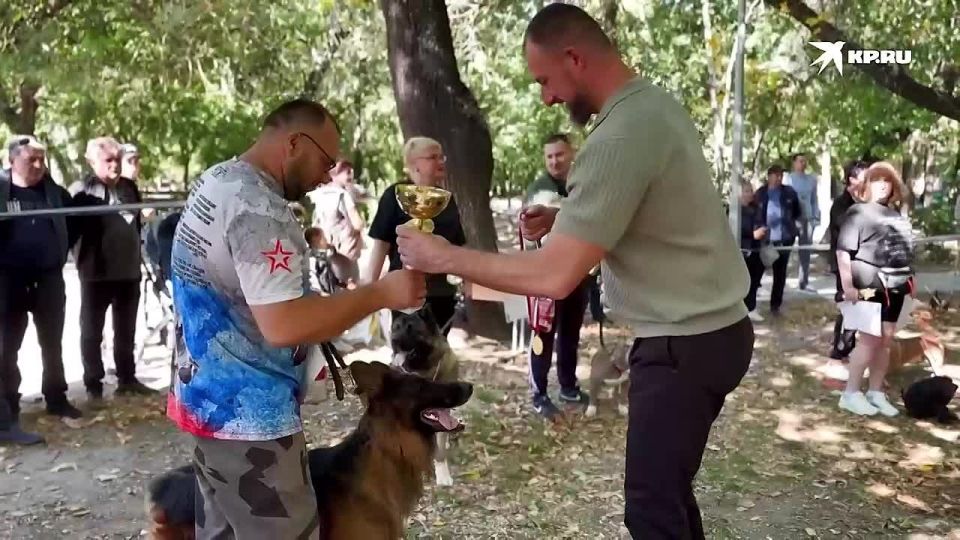 �������� ������� ����� ����� ���������� �� �������� ����� � ���������