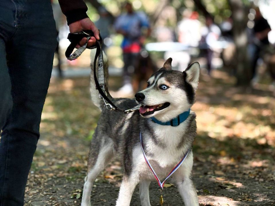 123� ��������� ���������� �������� ����� ���� ����� ������ ���������-2025�