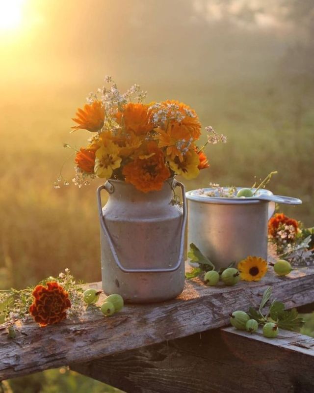 ������ ����. � �� �����, ��� �������