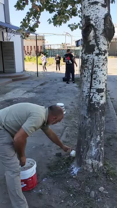 �������� ����������� ���������� ������ ������� ����� � ���� ������� ��������� � ����������� ����������� ���� "�����" ������� ��������� �� ����� ��������