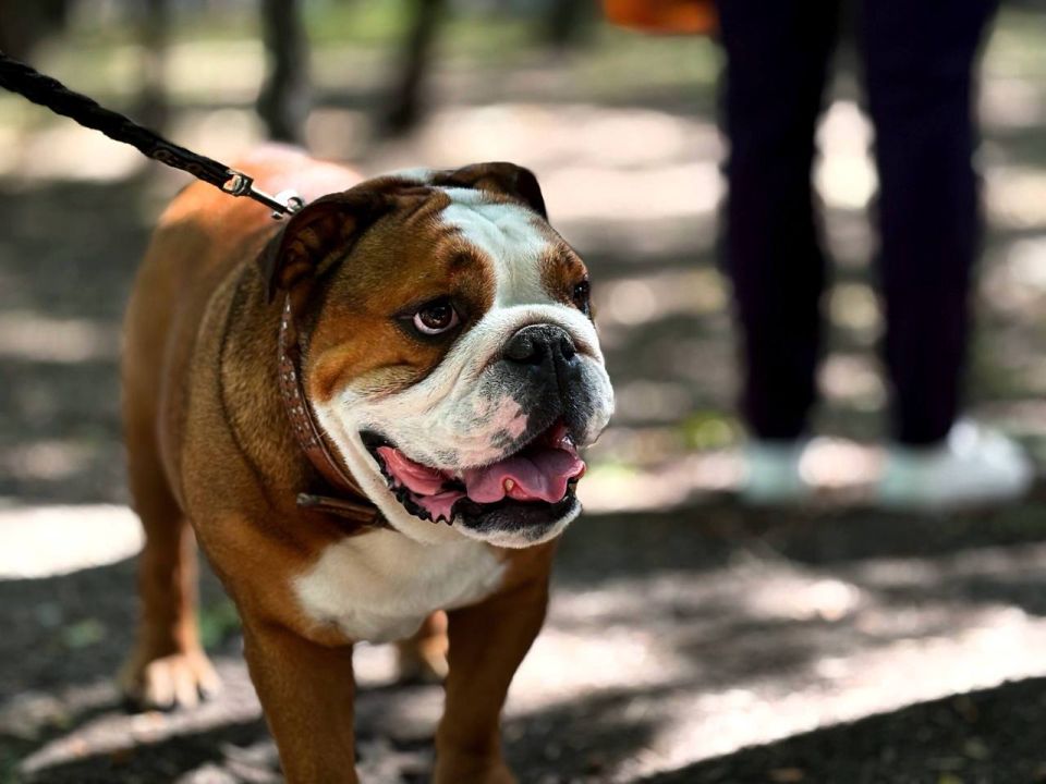 123� ��������� ���������� �������� ����� ���� ����� ������ ���������-2025�