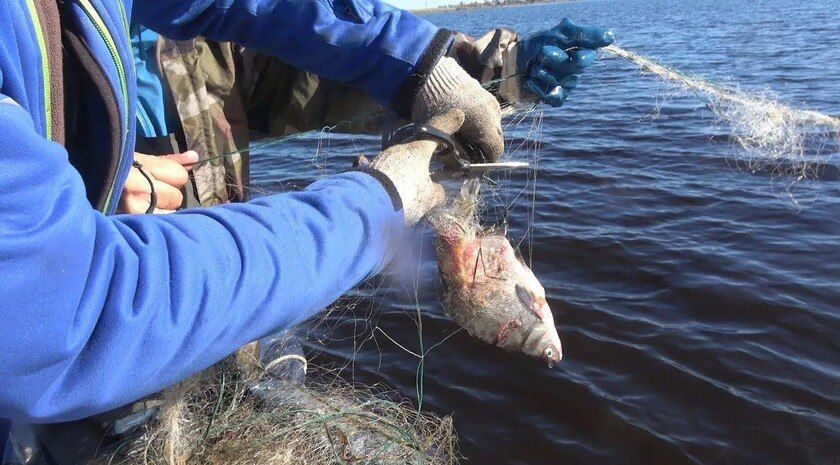 ������ ��� �����. � ����������� ������� ������� �����������