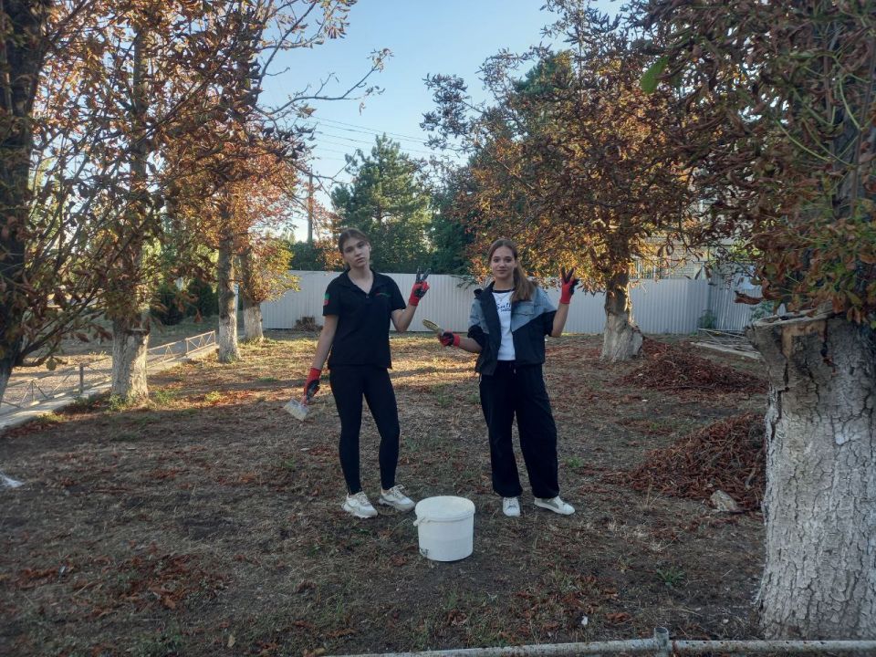 ��������� � ���� ��������. � ���� �������� ������ ���������, ������������ �� ��� ����