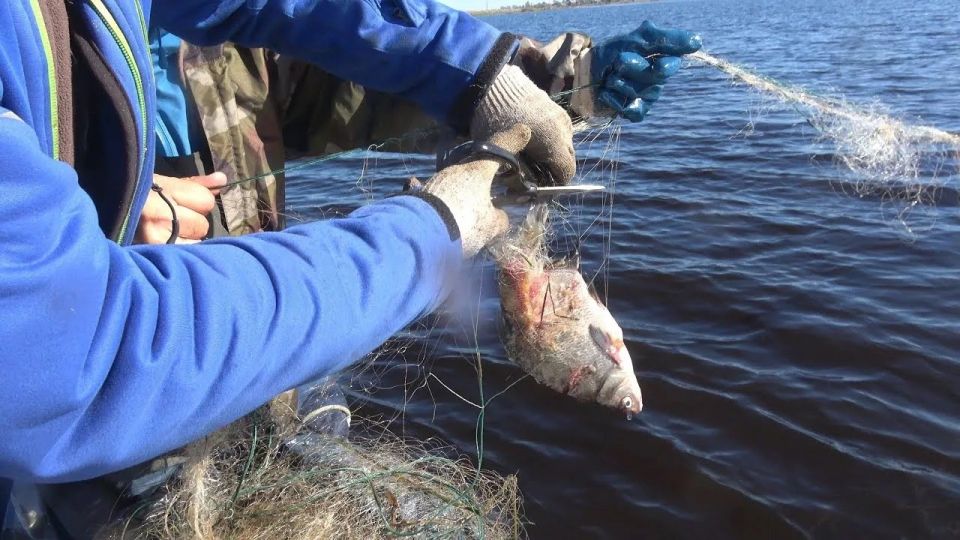 ���� ������� ���� ������� �������� �� ������������� � �������� ����