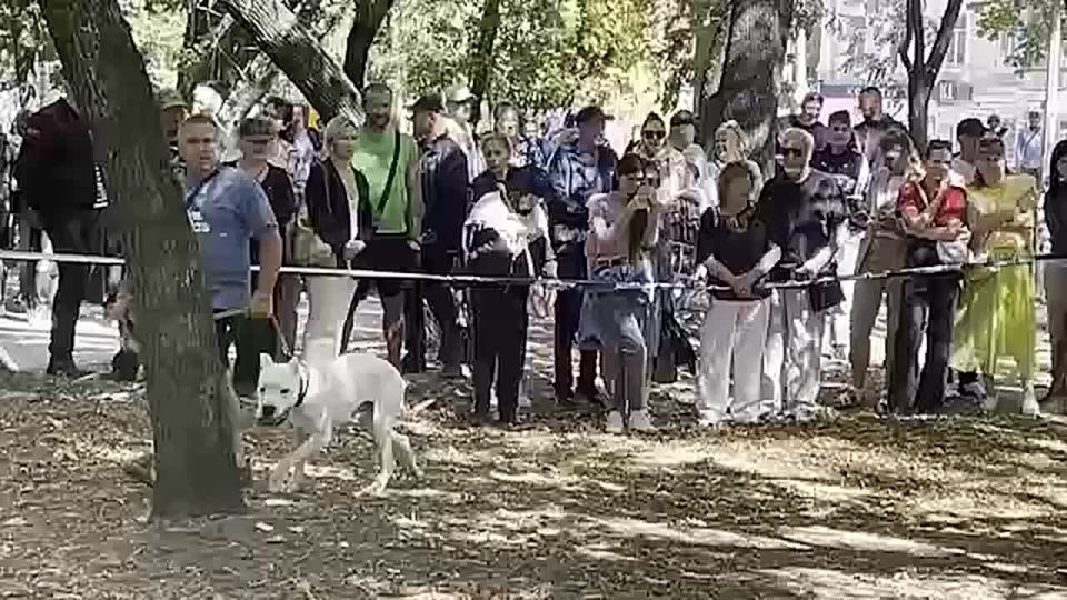 � ��������� ���������� �������� ����� ���� ����� ������ ���������-2025�