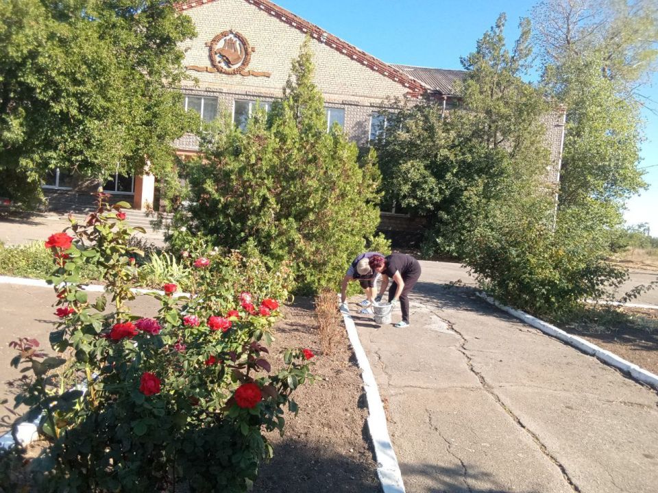 ��������� � ���� ������������