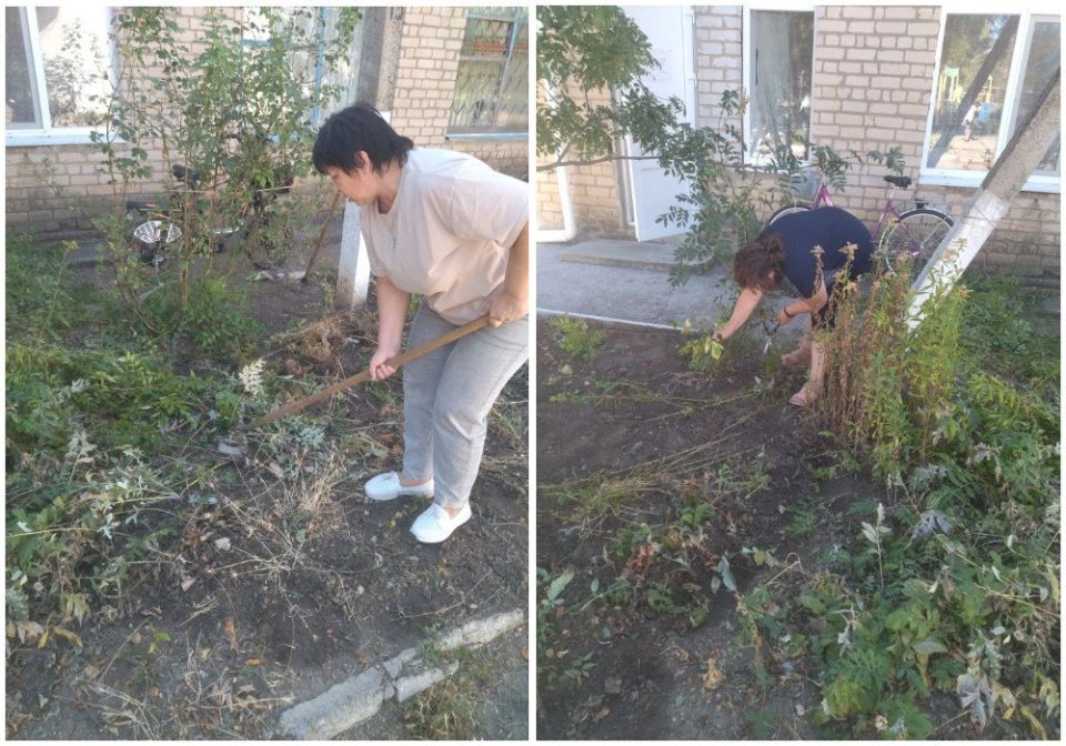 ���������� ��� ����� ����������� �� ������� ��������� � ���������� ������� �������� � ���������