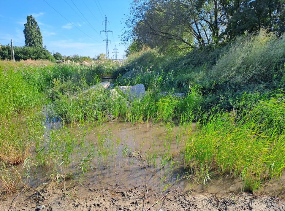 ������� � ��������� �������� ������ �� ������������ ������� �������� �������