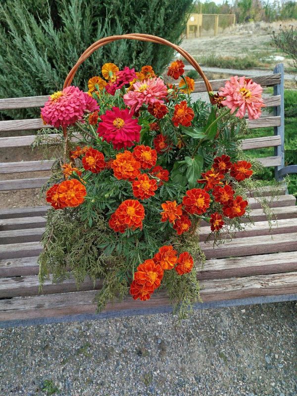 � ���� ���������� ������� ������ ������-�������������