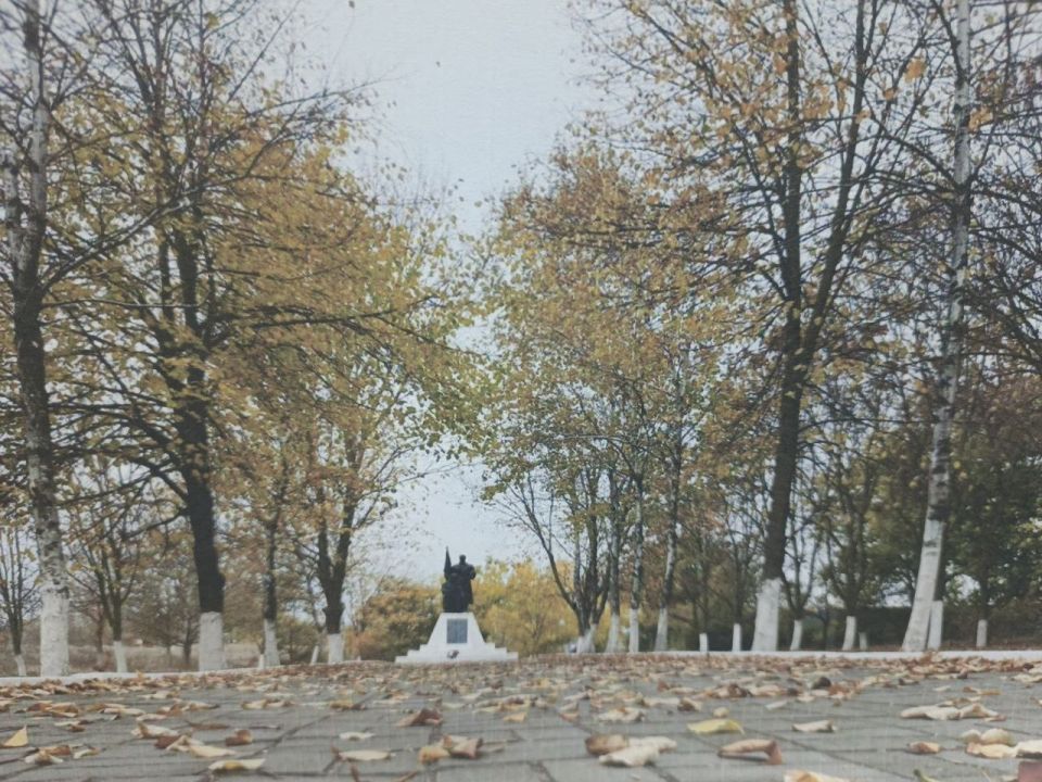 ������������ ��������� � �� ����