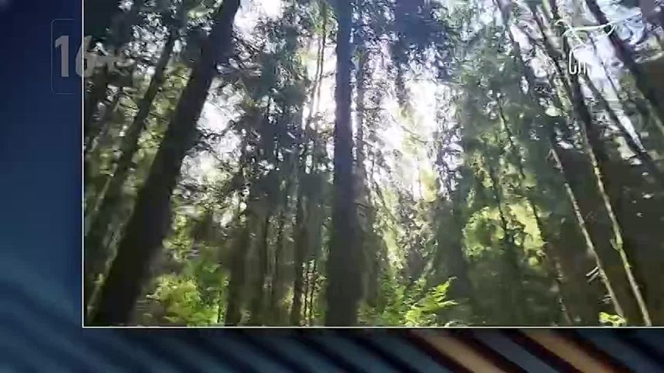 ���� �������: �������, � �����������, � 18:00, �� ���������� ���� � � ���������� ������ ���������� "����" �������� ��������� �������� � ����� ������