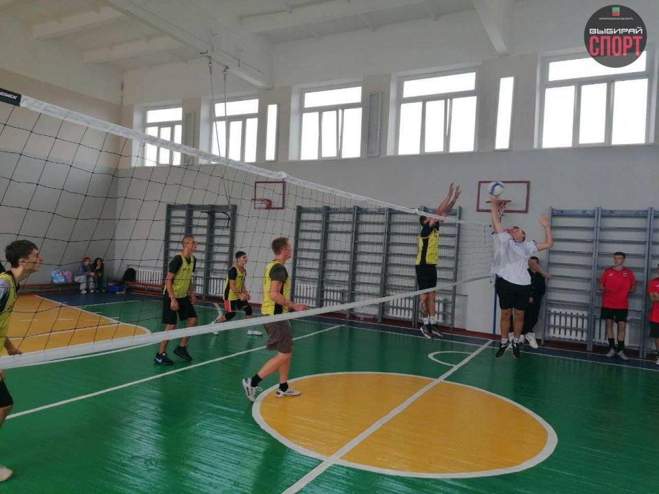 ������������ ������������� ����������� �� ��������� ������ � ���������