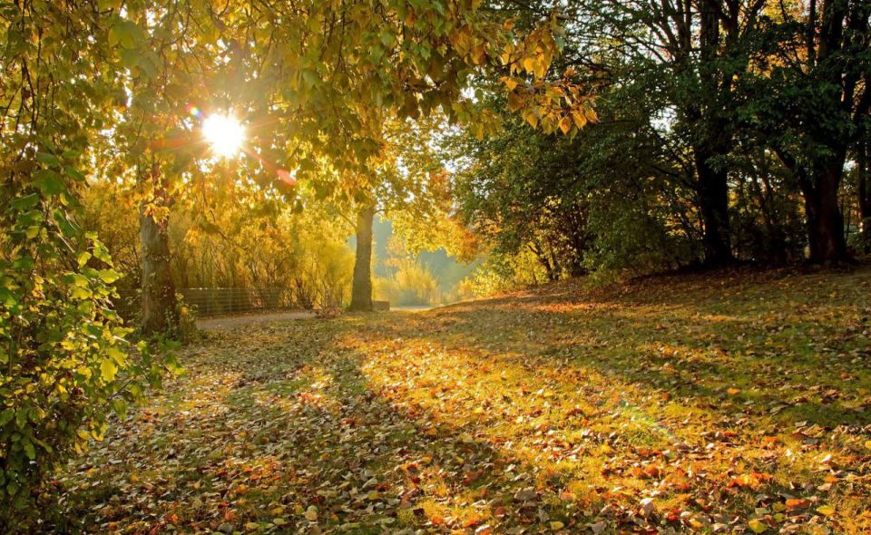 Доброе утро. А вы знали, что сегодня