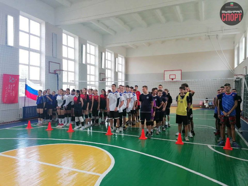 ������������ ������������� ����������� �� ��������� ������ � ���������