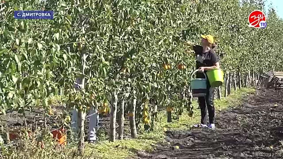 � ���������� ������ ������������ ���� �������