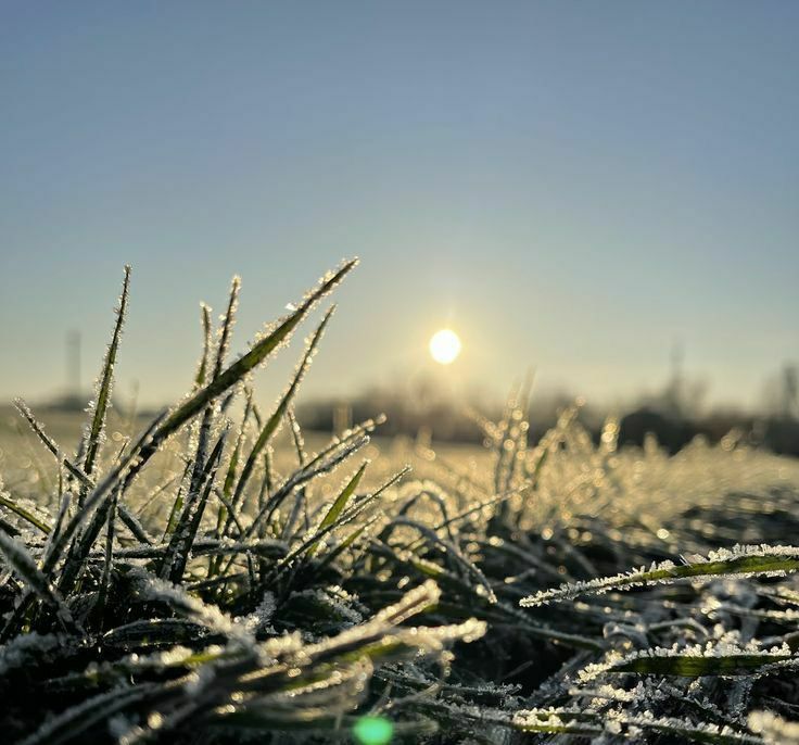 ���� �������: � ����������� ������� �������� ��������� ��������������