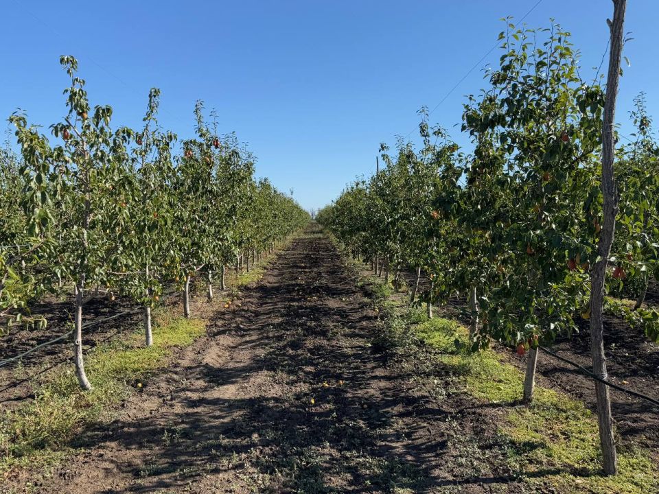 � ���������� ������ ������������ ������ ������ �������� �������