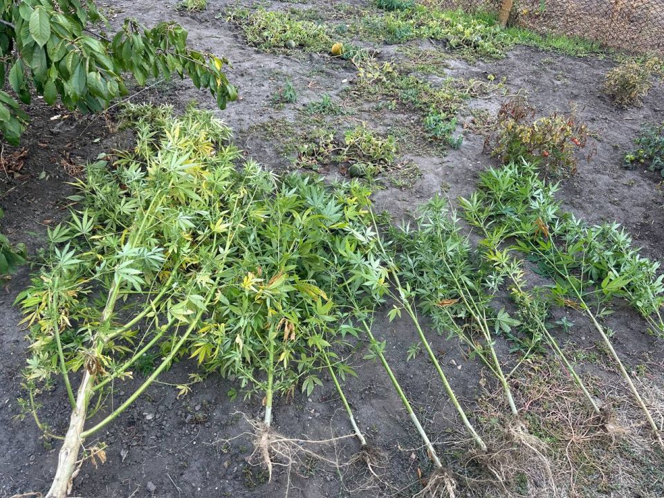 � ��������� ����������� ������ ����������� ��������