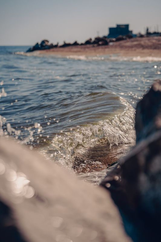 ������ ����������� ������� �������� - ��� � ��������!