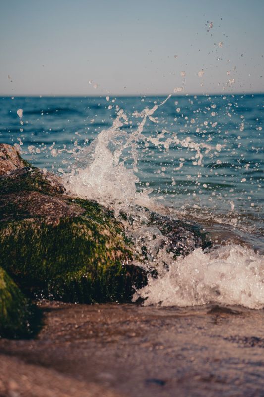 ������ ����������� ������� �������� - ��� � ��������!