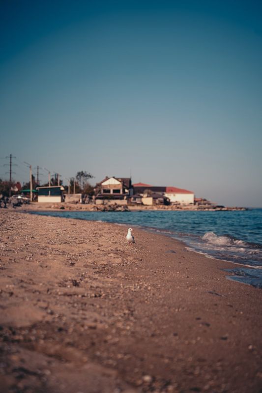 ������ ����������� ������� �������� - ��� � ��������!