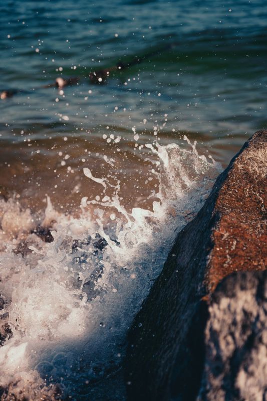 ������ ����������� ������� �������� - ��� � ��������!