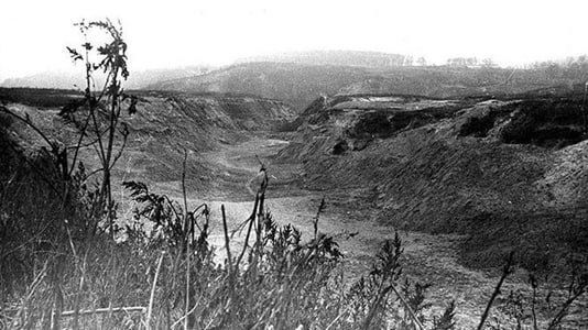 ���� �������: 27 �������� � ������� ������