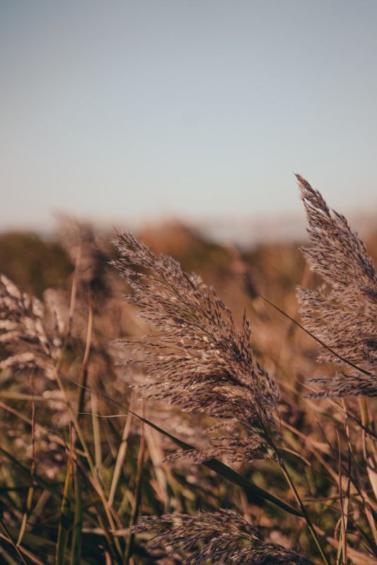 ������ ����������� ������� �������� - ��� � ��������!