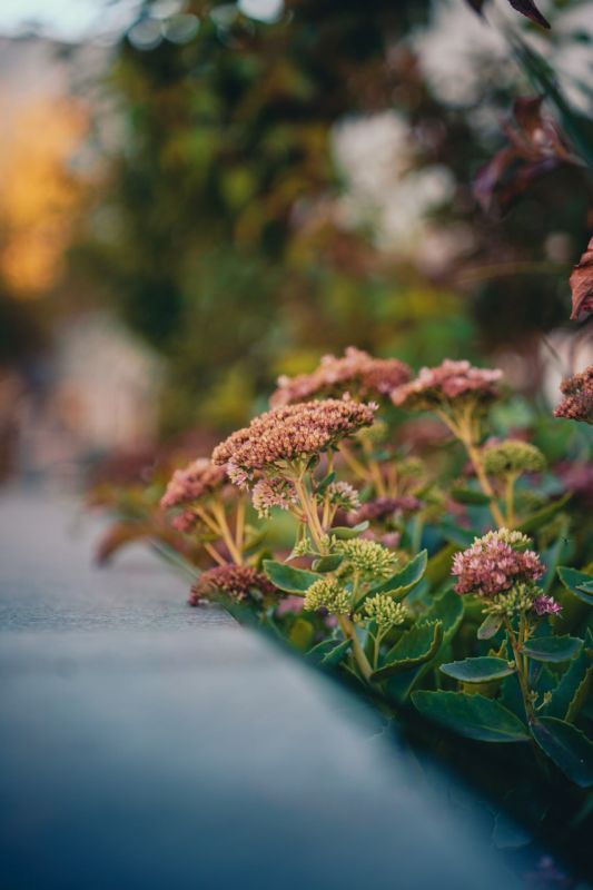 ������ ����������� ������� �������� - ��� � ��������!