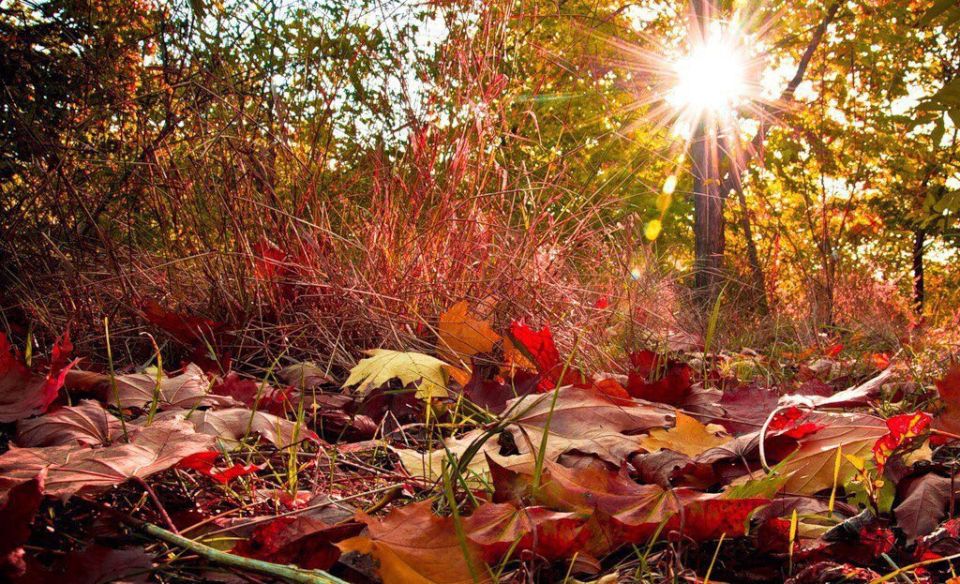 Доброе утро. А вы знали, что сегодня