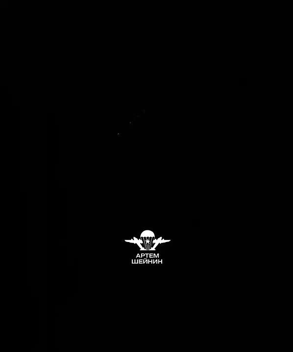 Артём Шейнин: Прислали наши парни с Запорожского направления