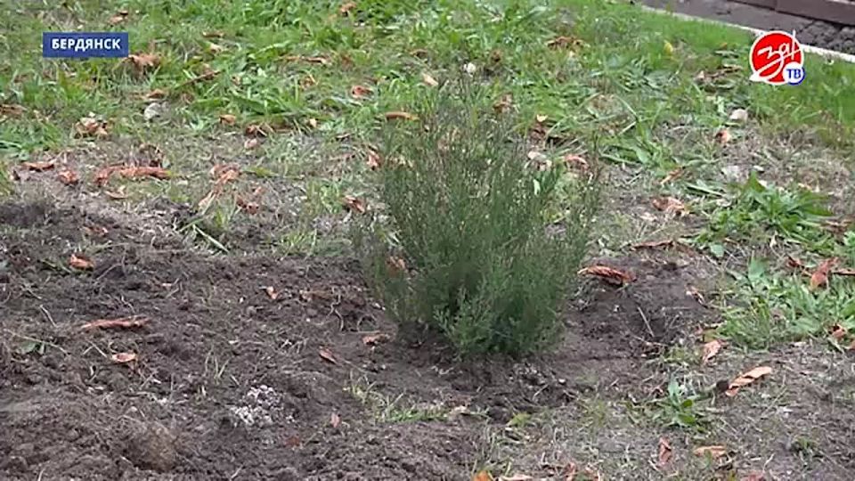 � ��������� �������� ����� ������ � ����� ���������� ��������� ��������� ��� �������� ����� ����������