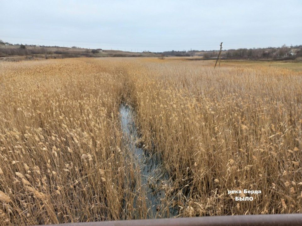 ����������� ������ � ������� ���������� �������� � ����� ������� ���������