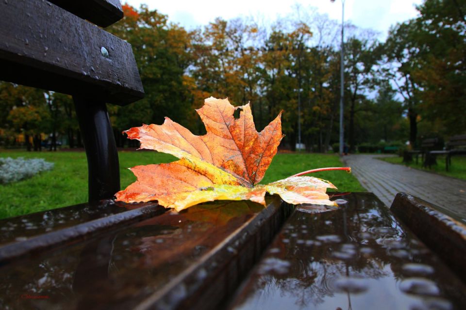 Доброе утро. А вы знали, что сегодня