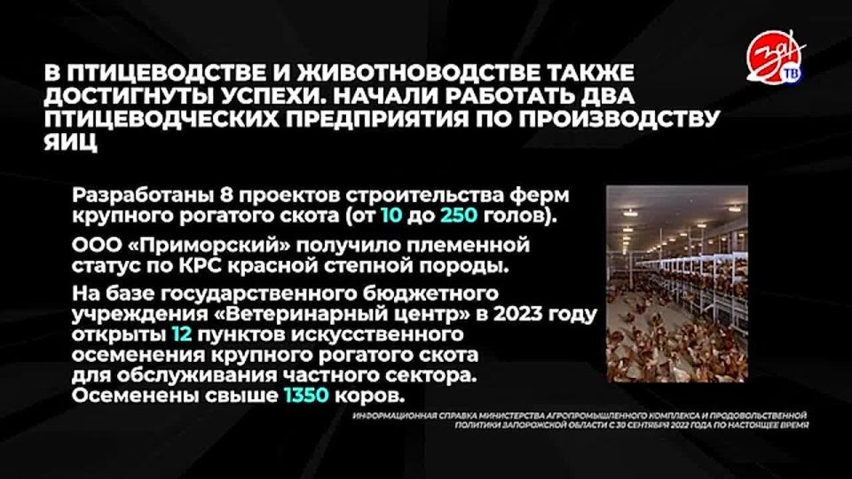 ��������� ������ ����������� ������ � ������ �������� ����-������������� ��������� ����������� �������