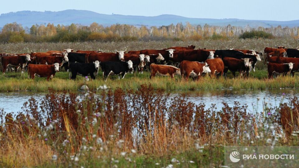 ������ �� ����� ����������� ������